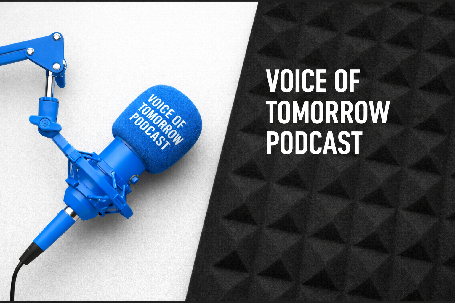 Voice of Tomorrow Podcast: Youth Stories That Inspire Africa